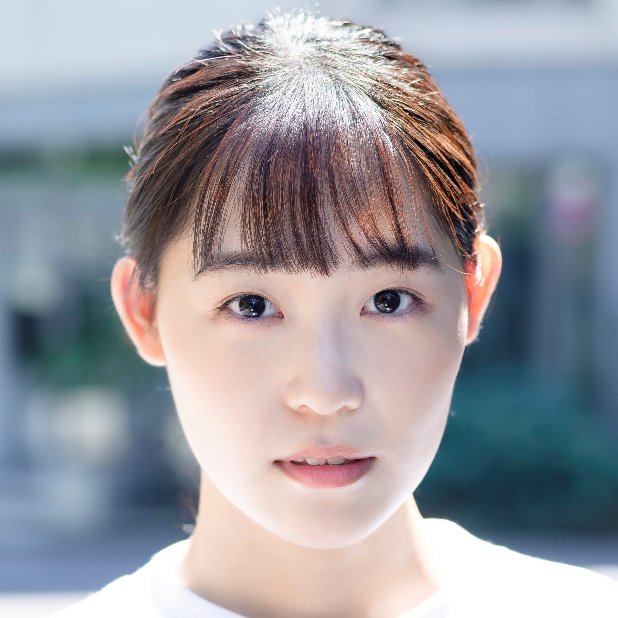 ニュース